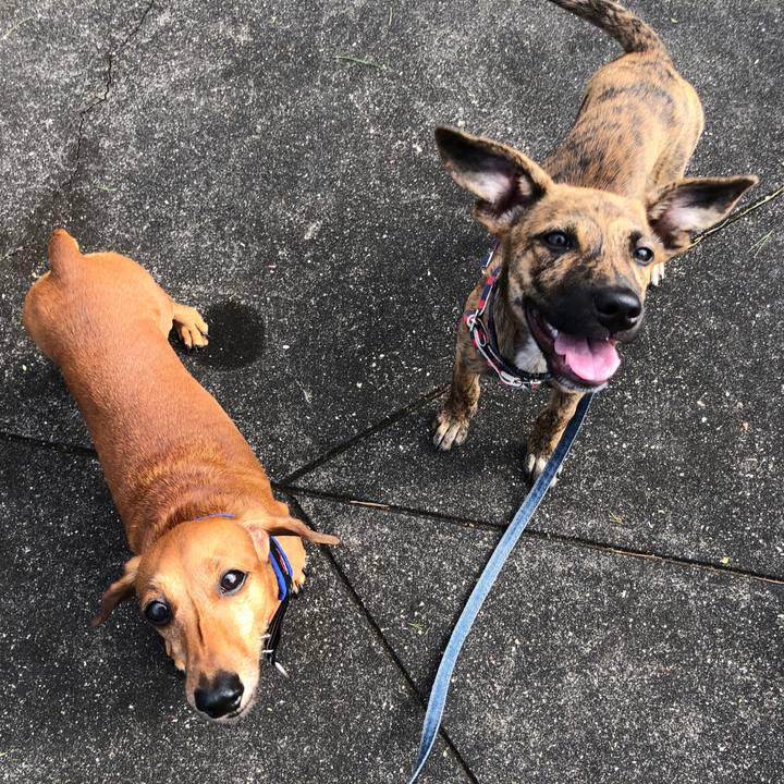 4aebb4e9 3d24 47e6 b8ac 4297dd7cd54c 1569247144505