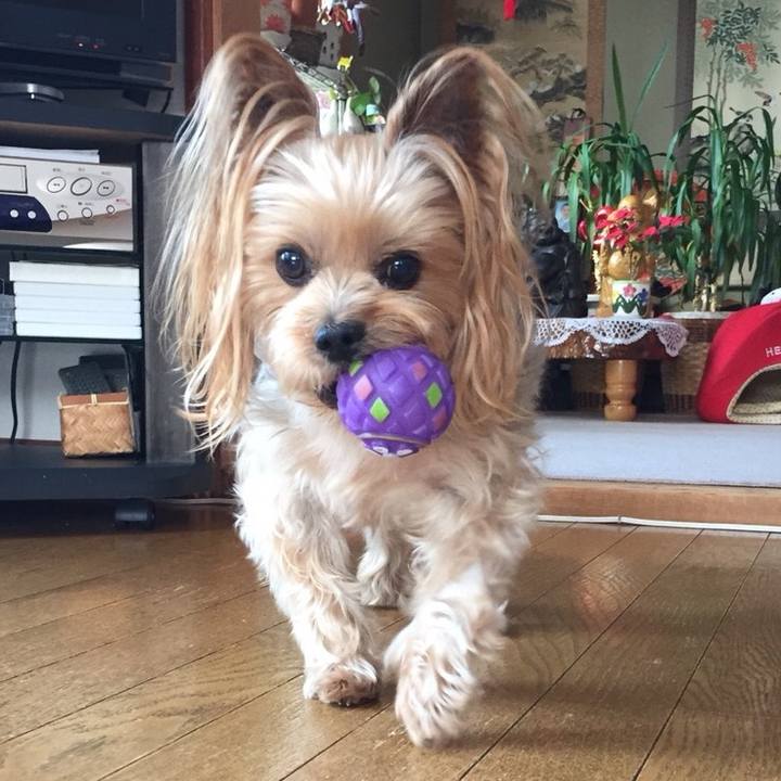 4aebc6f2 b536 48c8 815d 7cb0f3cd5e0a 1522639982119