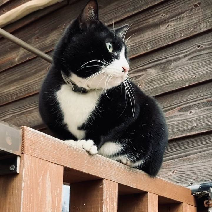 4aebec4c 3f5f 474f b983 ebfcd09b4087 1735559515983