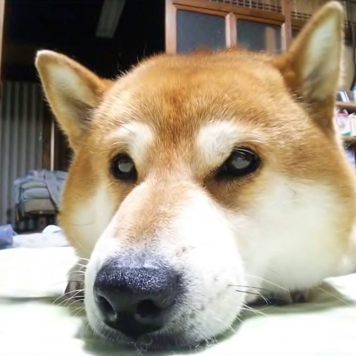 4aebfaa9 a10e 477b 97f4 032de5dec119 1532831399915