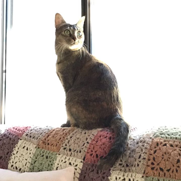 4aec13c8 86eb 456e 93d5 2325b5b82cd3 1608678083913