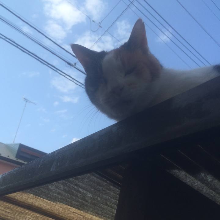 4aec62e1 0354 4af2 a3d9 adc5934e0124 1558270623084