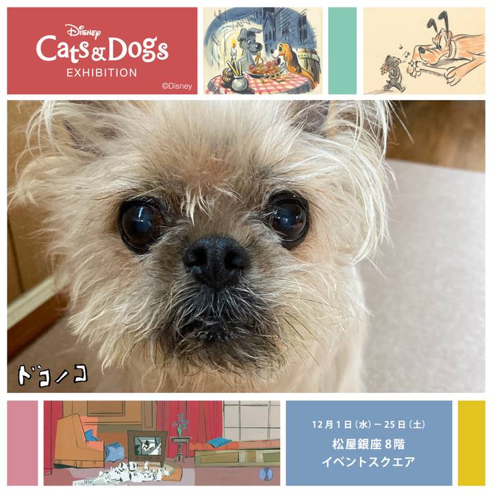 4aec6377 efb2 45d3 a821 03249010282d 1638354313599