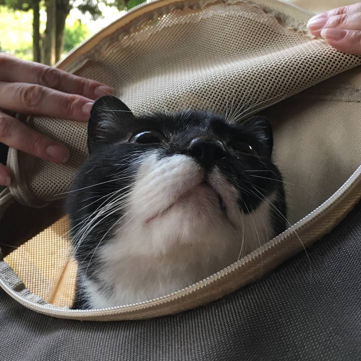 4aec760c 3b38 4c51 bcd2 00f44af4bef9 1557151033819