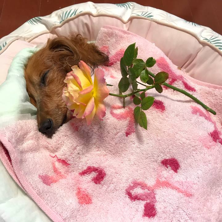 4aeca21d 1418 4b3f 80a8 5e3fdf91ac98 1602415692629