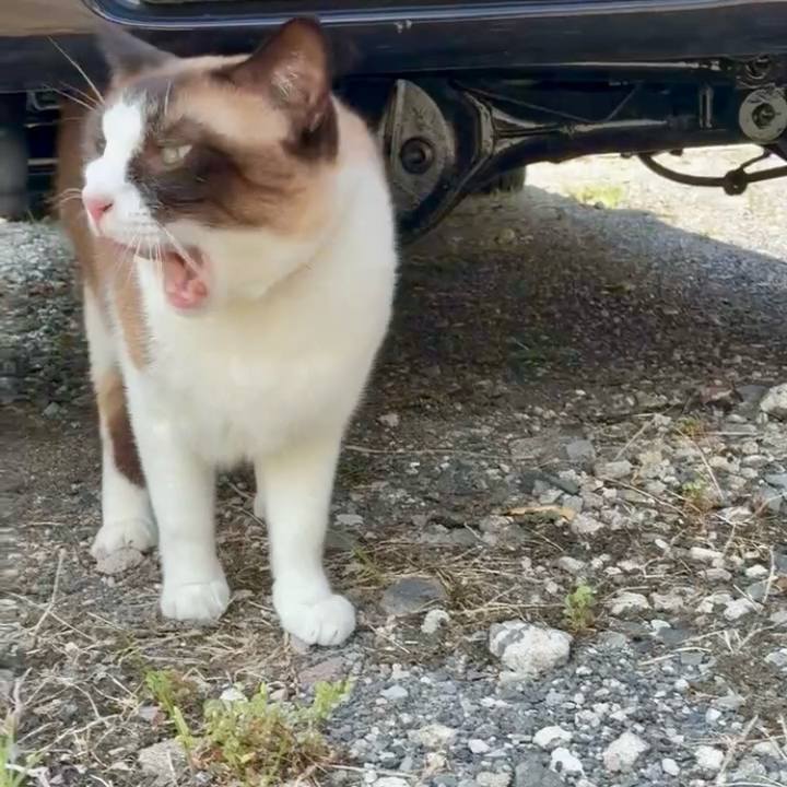 4aecb15b ec12 4db9 8713 9300a2b6e0f9 1753843447113