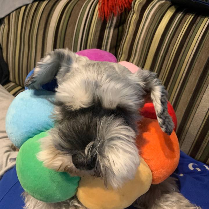 4aecf60b 0def 4a4c 9a6e 772e28aafb88 1668293594188