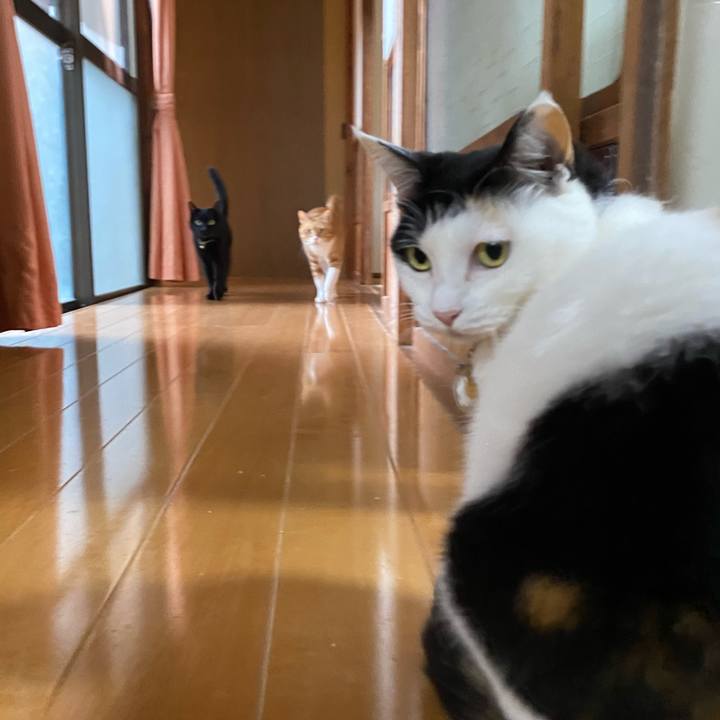 4aecf778 f2ce 469c 940c 42332abdc52e 1745596059363