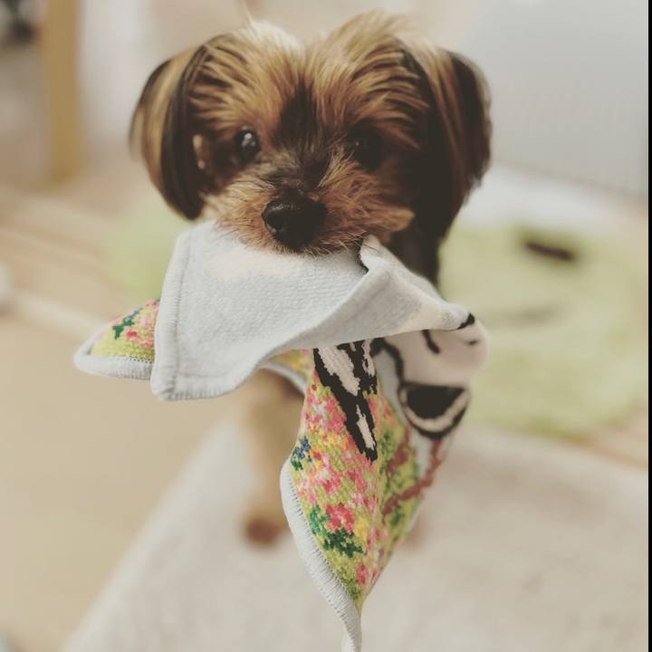 4aed0378 88f1 4644 b33d 287145c19241 1685173255685