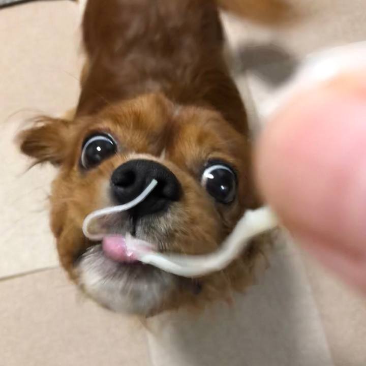 4aedb057 8c2c 4111 9cd1 76dabbde44ce 1566384734144