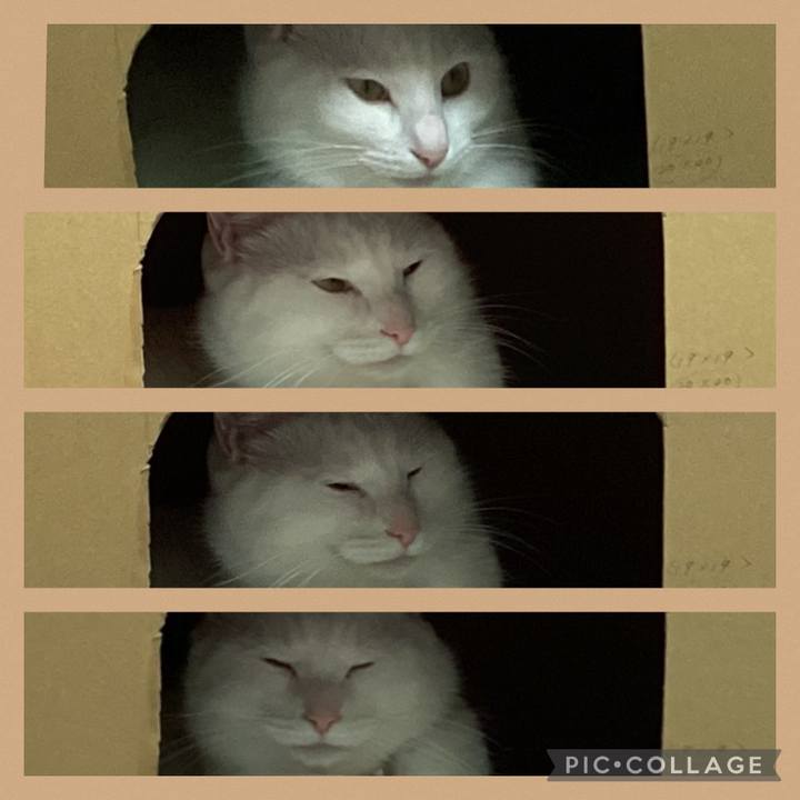 4aedc3c8 314f 4361 bec9 e21e109a6f08 1674857541015