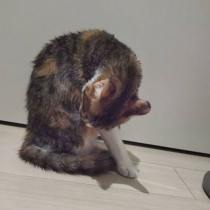 4aedf6f3 e1ef 4fb8 8328 41204ac742fd 1638526286861