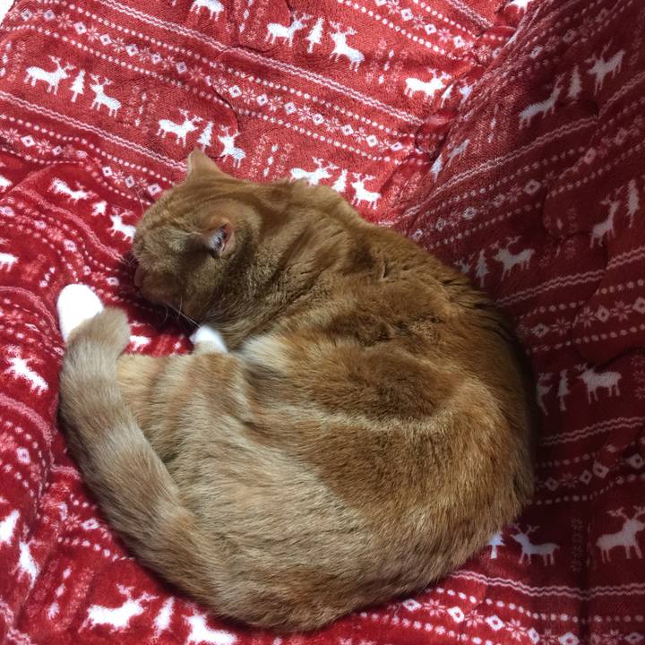 4aedfb43 2e28 4769 bb86 0aaf0b8ca7e0 1545350919810