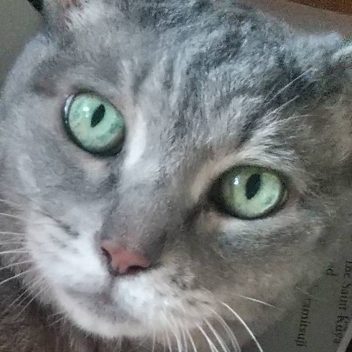 4aedfd1c cc85 44e0 878f b0f2d5f673e3 1660957337972