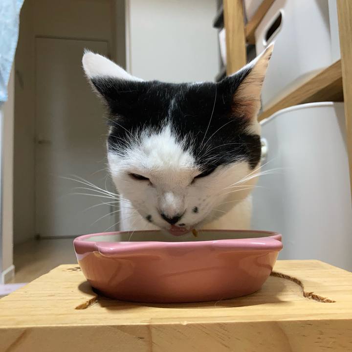 4aee1c56 4e1e 4134 b58b 2173e87af0d0 1757019387393