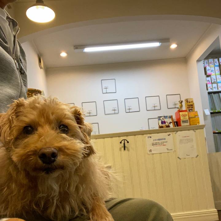 4aee1f30 a980 433b ad77 d4827d741f17 1675861969117