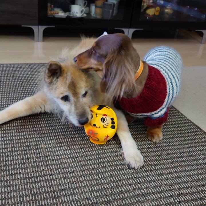 4aee2fc1 a229 471e 8d25 a6d1cf1ee6f1 1641706877120