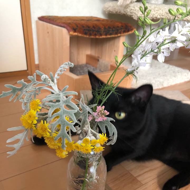 4aee4118 2a8e 4728 a10b e2319ff68365 1559643780192