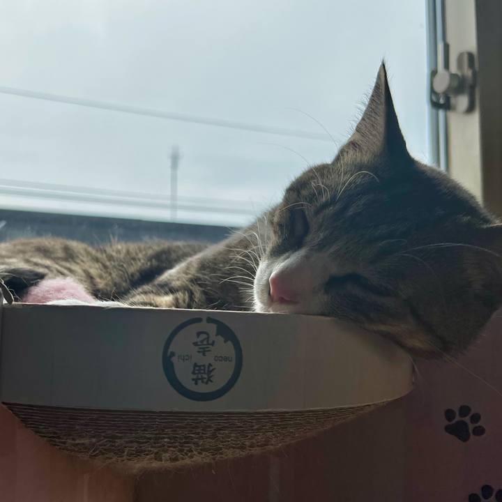 4aeea2bd ef1f 4a56 8efa f0a3776d8a65 1750721727811