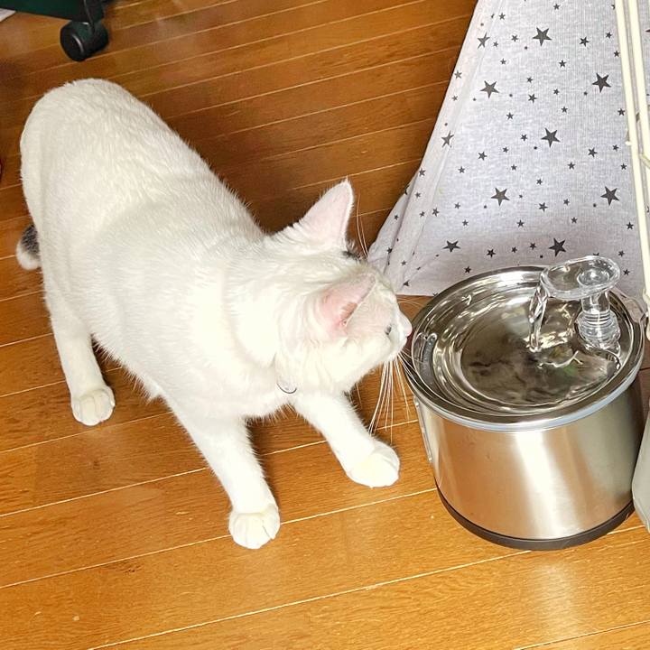 4aeedcfb ebaf 4ad2 9a18 0d758dc5eb2a 1688339519113