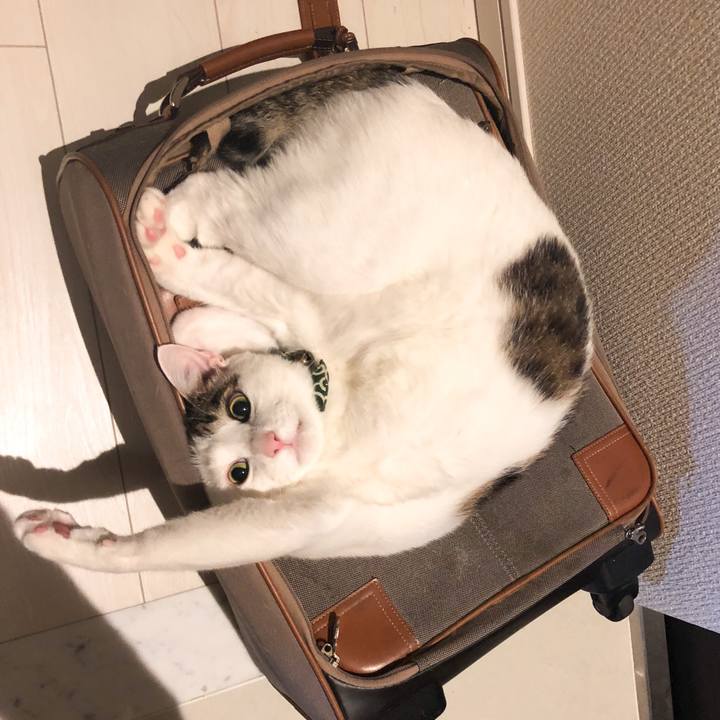 4aef269d 41db 465a aa43 ef23c1610805 1532186863012