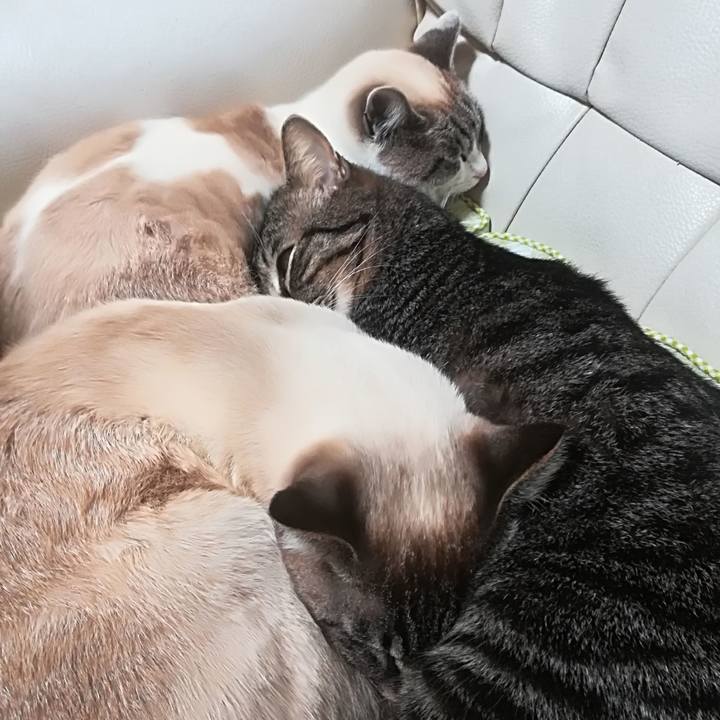 4aef4f56 4f91 4f99 b525 97ddc591ad39 1520250011049