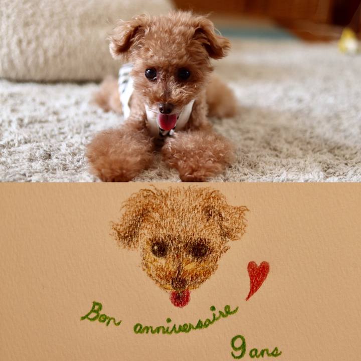 4aef5602 2a43 47fd 9203 b253415ca1fb 1597021631224