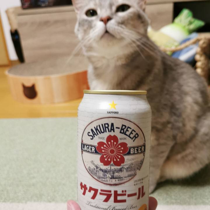 4aef7ea3 2f36 4e74 8c7d b393b8ac2163 1648996498067