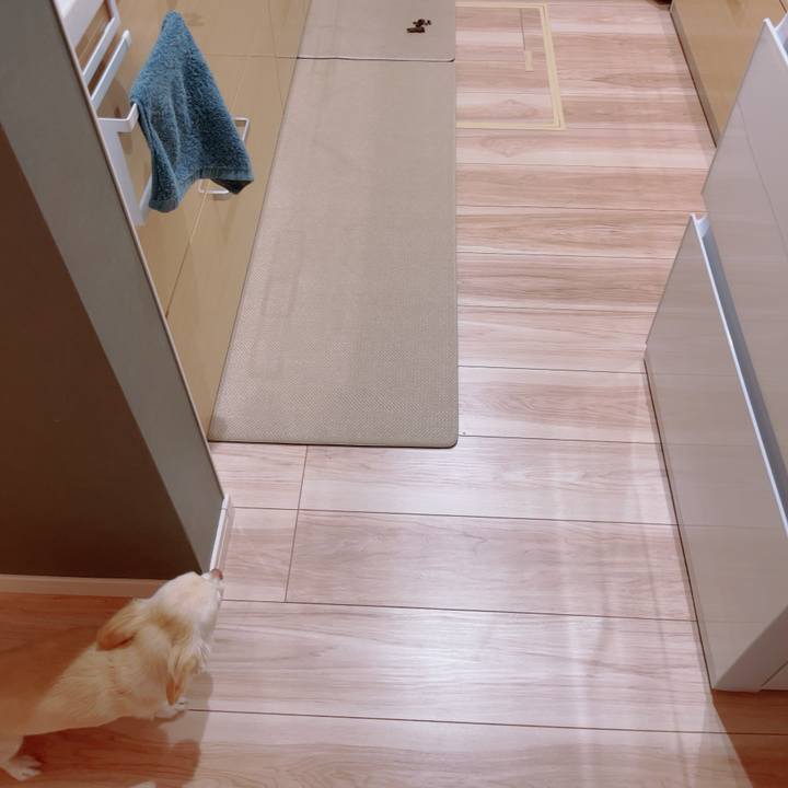 4aefa820 31f0 434d 9a8a 6e15b751aaed 1758285558689