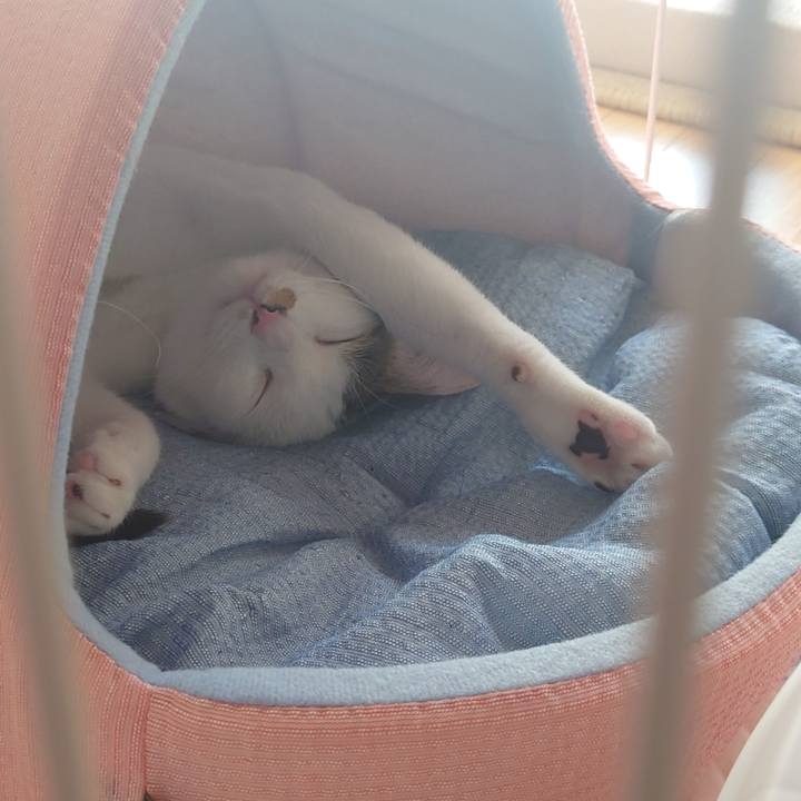 4af0098b e313 48cb 8477 ff7c2b8bae1b 1690350361446