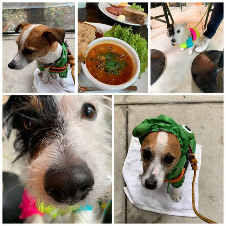 4af009db 34f3 46b9 960b 9209fd7776cc 1560566515465