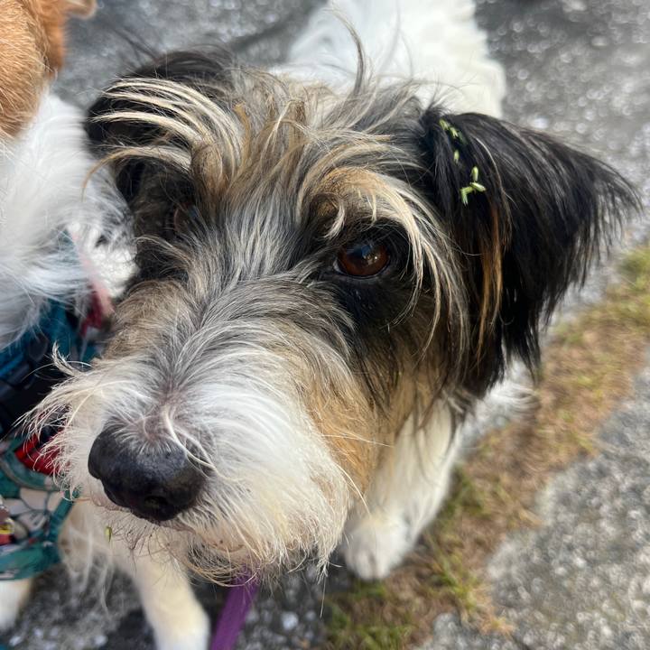 4af01f58 1e52 4cb5 892b 8482d8e2fef1 1762936167407