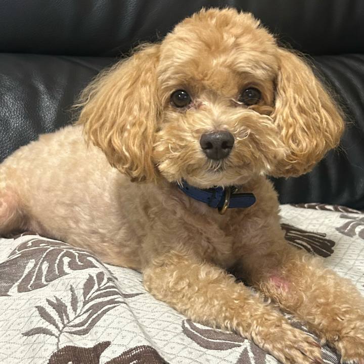 4af04849 2ffe 4412 9693 5795ca3f9f55 1725070164465