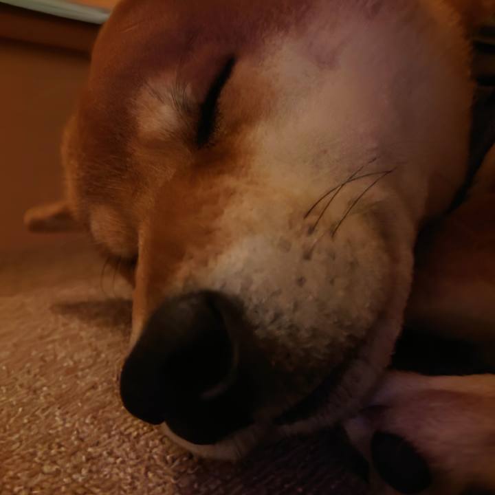 4af056c1 e9aa 4a01 a7f9 f9efce256601 1766029855899