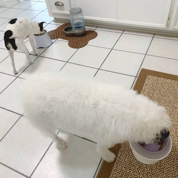 4af069eb ffb7 4eab 83c3 8b7d8a12bd1e 1627423276879