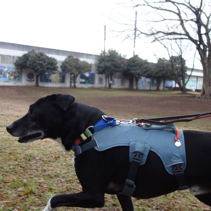 4af095c4 9d03 4203 8d02 a422bf8454d9 1708211480229