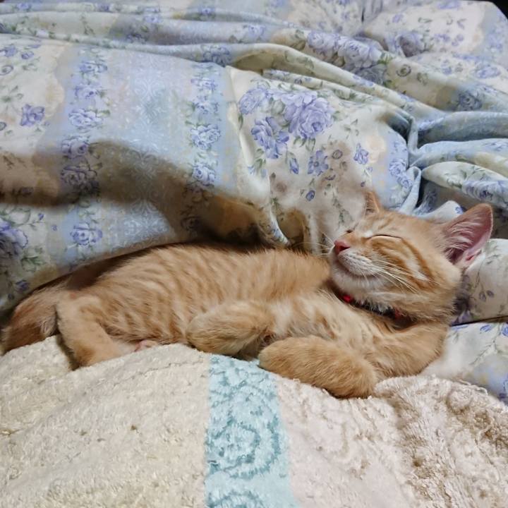 4af0da4d 968b 4738 a0e9 6ce49c16e9e0 1631881250677