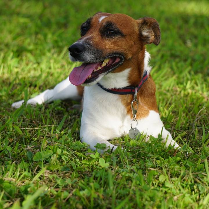 4af122ba 0abe 4d42 9426 9d1231280928 1530400099690