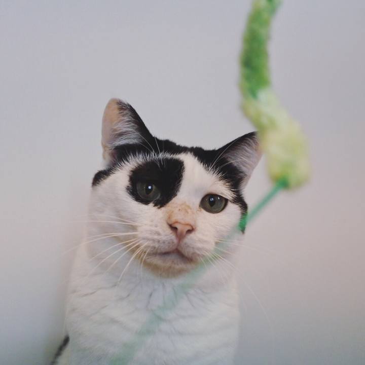 4af14b9a 44d0 4b6a ace3 507201176702 1534149497044