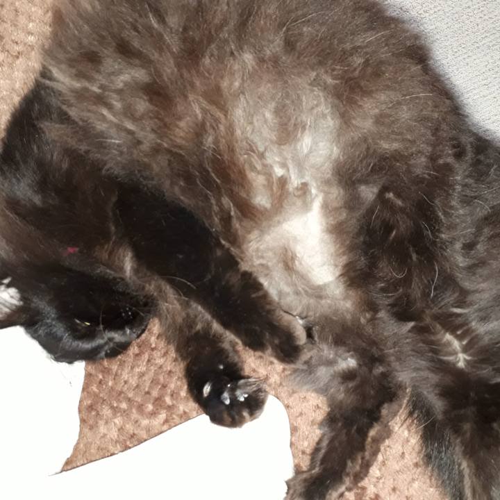 4af1584b bcec 4f37 8c14 73142e470ab8 1518302648605