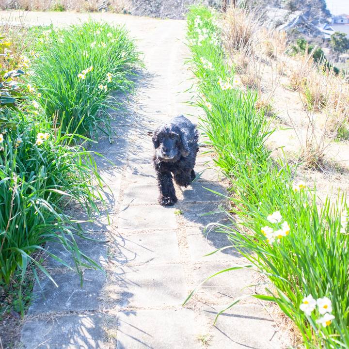 4af174f3 e8ea 4442 925b e34caea4caf4 1582870331035