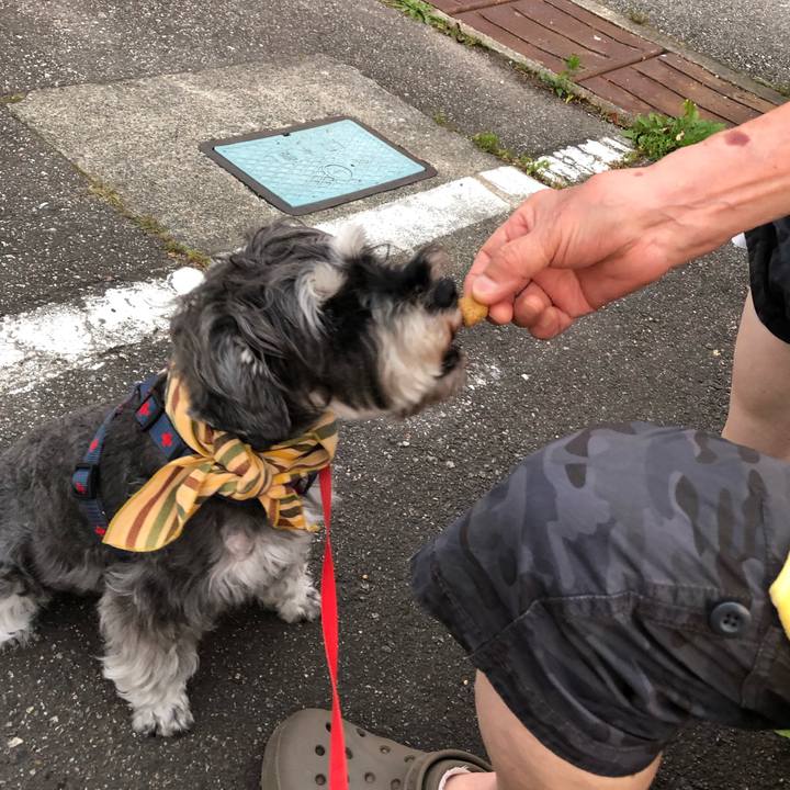 4af1a75c a89b 4818 ac05 2b04d1ed3474 1626781177681