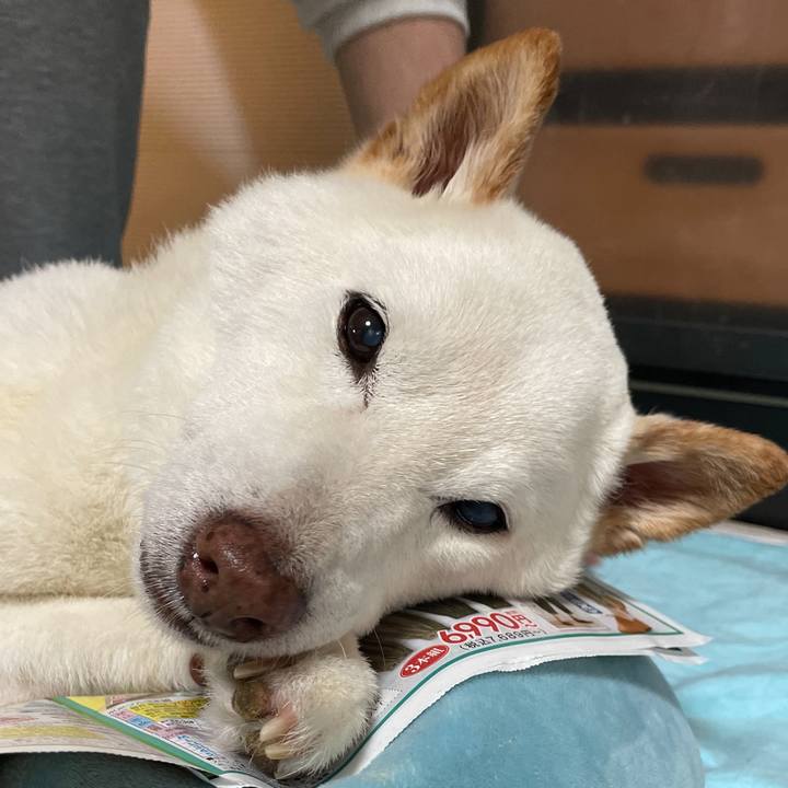 4af1b563 aa87 4079 9fc6 09c9c7c4a7fe 1667482888555