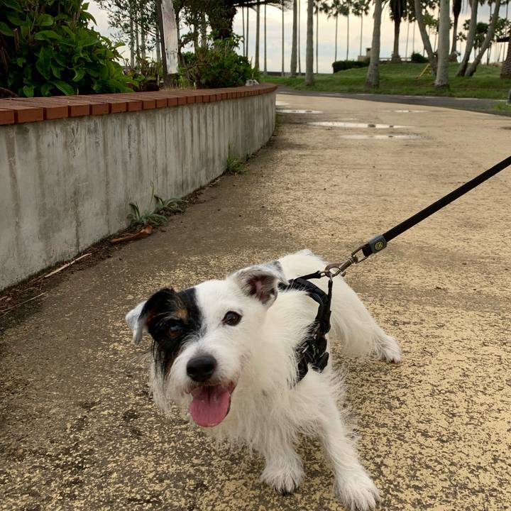 4af1be1e 57c0 42c2 baa3 ef5e0594539e 1695457816794