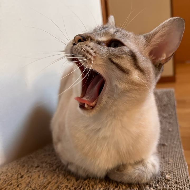 4af1e2dd e012 4f40 a6a1 af597435b0b4 1755765842323