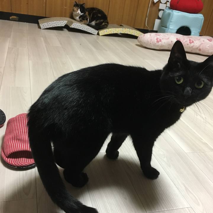 4af21769 9742 4d3b b3ae 88363148d3bc 1509968473118