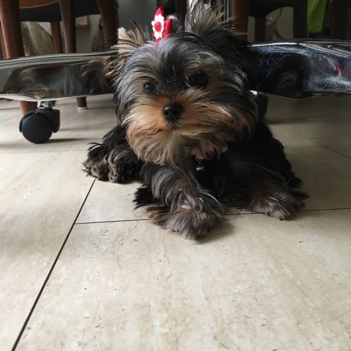 4af23f92 000b 4bb7 9cd7 fa3448179713 1538623865852