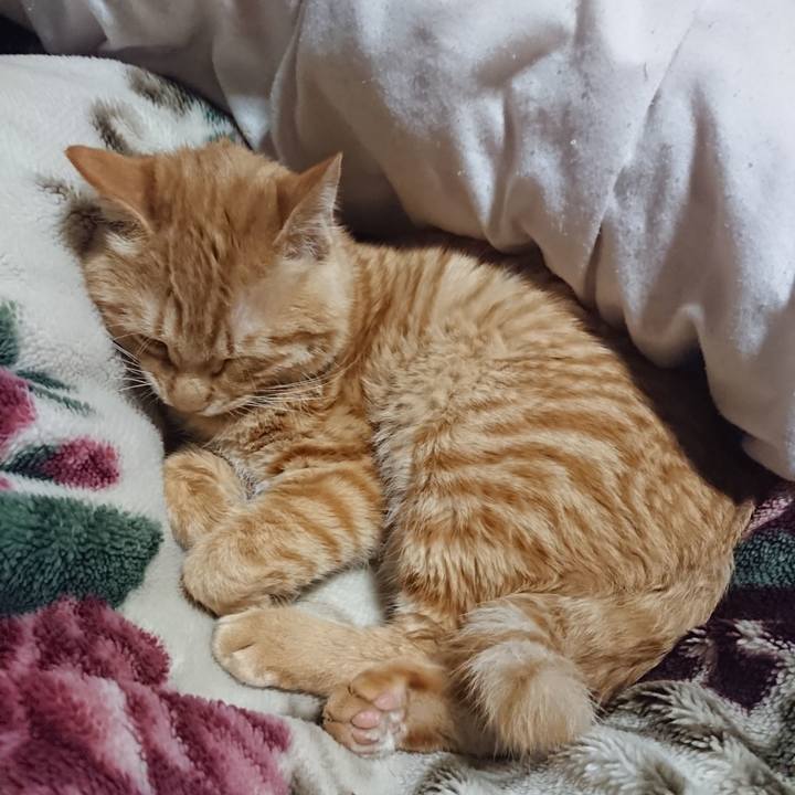 4af25581 91be 47b3 b261 2a7cc7b8d086 1639743737736