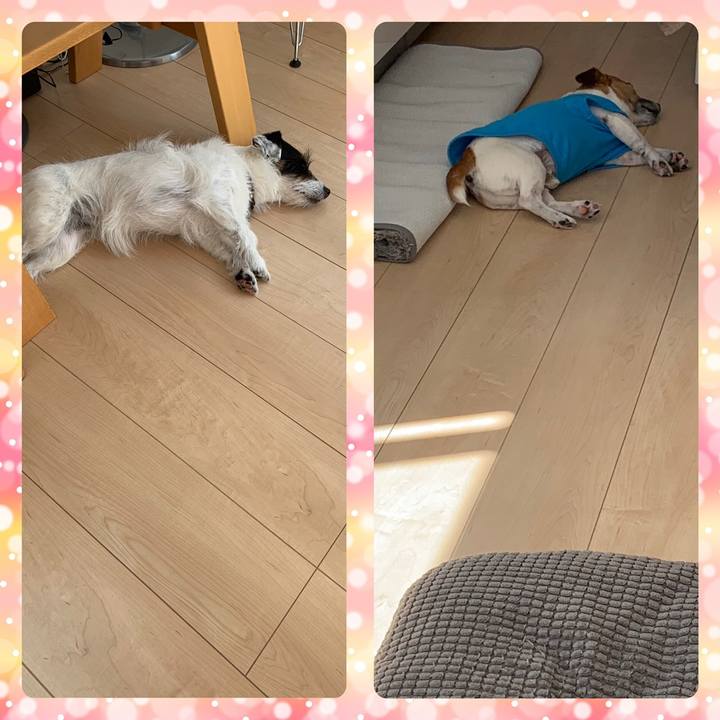 4af2904b ba69 4165 8937 dd8280ff6e37 1558589704495