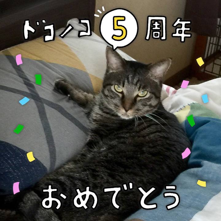 4af2b1a1 31ec 4b88 b7e3 c0d2bde81599 1622896239611